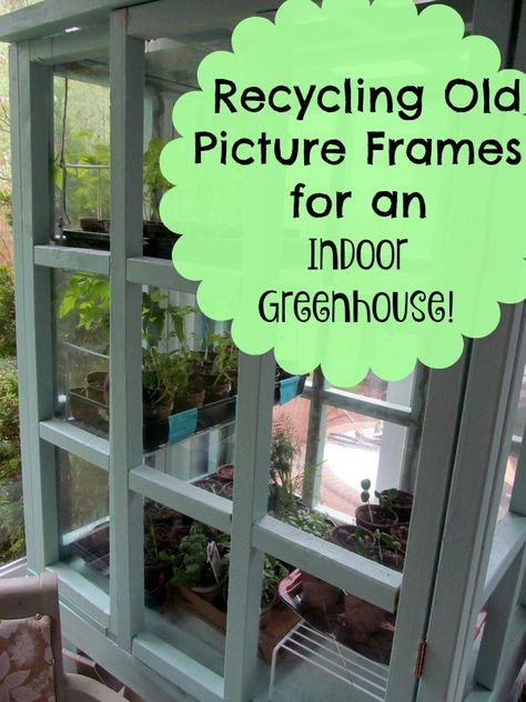 Recycle old, unused picture frame glass into a great indoor greenhouse perfect for starting lots of seeds and keeping plants safe from pets! Indoor Terrarium, Greenhouse Projects, Porch Greenhouse, Grow Cabinet, Greenhouse Indoor, Growing Plants From Seeds, Robin Nest, Homemade Greenhouse, House Greenhouse