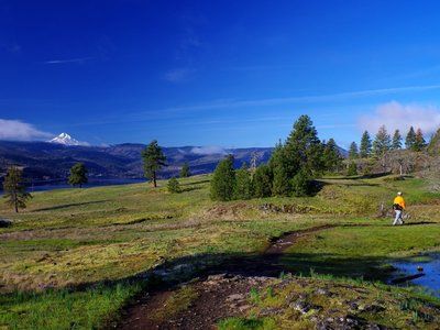 Catherine Creek Hiking Trail, White Salmon, Washington White Salmon Washington, A Short Hike, Eastern Oregon, The Gorge, Red Tailed Hawk, Vacation Planning, Hiking Trail, Planning Tips, Washington State