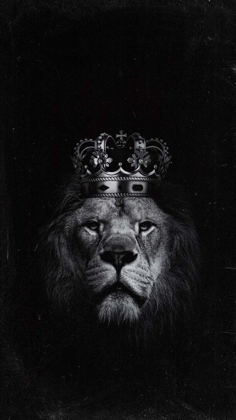 Lion Crown IPhone Wallpaper HD - IPhone Wallpapers : iPhone Wallpapers King Crown Wallpaper Iphone, Lion Crown Wallpaper, Lion Hd Wallpaper 1080x1920, Wild Wallpaper Iphone, Black Lion Wallpaper, Lion Wallpaper Aesthetic, Lion With A Crown, Lion Aesthetic, Wallpaper Lion