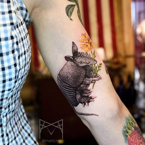 Florida Animal Tattoo, Cute Armadillo Tattoo, Treehouse Tattoo, Papa Bear Tattoo, Armadillo Tattoo, Texas Tattoo, Texas Tattoos, Cactus Tattoo, Raw Canvas