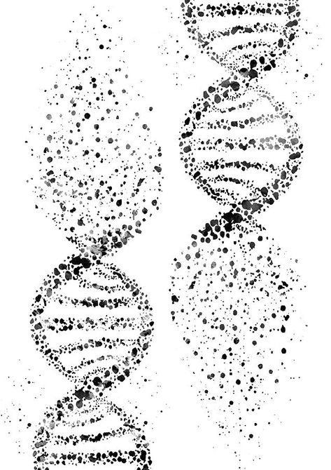 Dna Art, Dna Tattoo, Science Doodles, Dna Helix, Information Art, Human Dna, Biology Art, Pin Up Tattoos, Double Helix