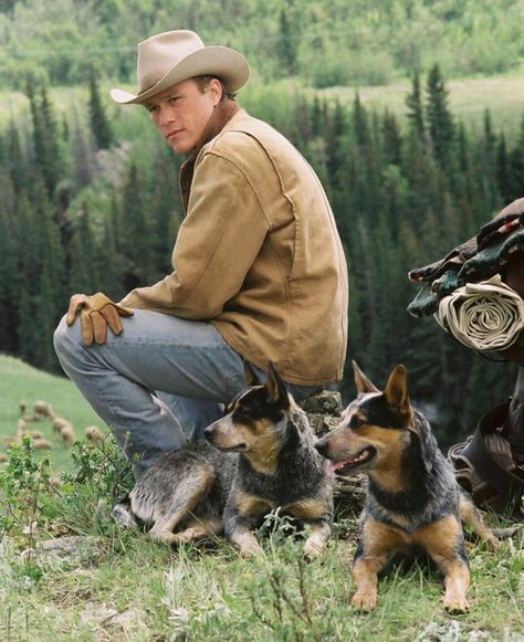 Heath Ledger as 'Ennis Del Mar' in Brokeback Mountain (2005) Australian Cowboy, Ennis Del Mar, Health Ledger, Blue Healer, Austrailian Cattle Dog, Cattle Dogs Rule, Heeler Dogs, Blue Heeler Dogs, Blue Heelers