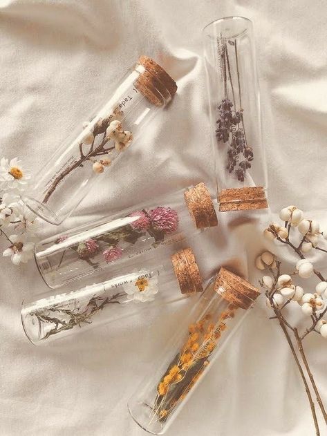 Dried Flowers, We Heart It, Glass, Flowers, White, Instagram