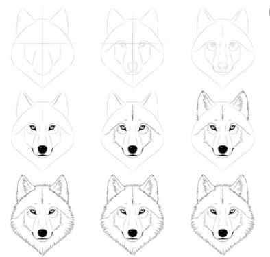 This drawing has step by step on how to draw a wolf. If this is not clear pls let me know. U can color it however u want. Wolf Sketch Step By Step, How To Draw A Wolf Face Step By Step, Drawing Wolf Head, How To Paint A Wolf Step By Step, Wolf Sketch Easy Step By Step, How To Draw Wolf Face, Wolf Drawing Sketch Simple, Wolf Drawing Face, Drawing A Wolf Step By Step