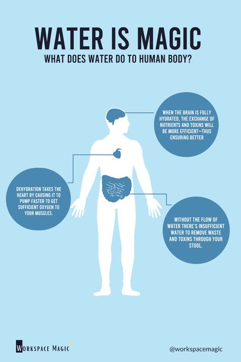 What is the recommended daily water intake? Doctors recommend that women drink at least 11 to 13 cups of water while men drink 15 to 17 cups of water per day. Drinking water is important not only because you feel thirsty but you body needs water to function properly. Aside from keeping your body hydrated, here is a list of what water can do to your body: • It helps release body toxins. • It lessens your cravings for sweets, coffee and other flavored-drinks. • It aids in efficient cell rep High Blood Sugar Levels, Health And Fitness Magazine, Healthy Diet Tips, Daily Health Tips, Water Intake, Fitness Advice, Lower Blood Sugar, Good Health Tips, Health Magazine