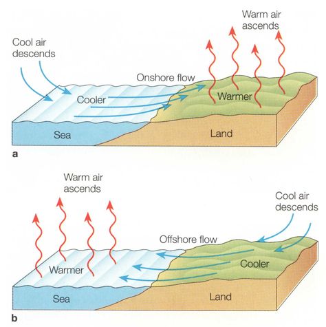 wind direction Arugam Bay, Solar Energy Facts, Sailing Lessons, Weather Chart, Solar Energy Diy, Energy Activities, Indian History Facts, Geography Lessons, Wind Direction