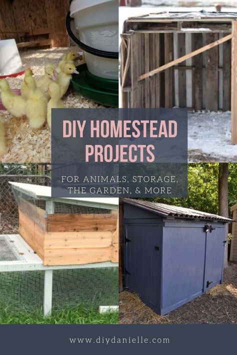 DIY Homestead Projects for Your To-Do List  Different buildings and more than you should build to make homesteading easier!  #homesteading #homestead #diy Backyard Homesteading, Homestead Projects, Homesteading Diy Projects, Homestead Diy, Homesteading Tips, Small Backyard Design Ideas, Backyard Design Ideas Budget, Modern Homesteading, Backyard Design Ideas