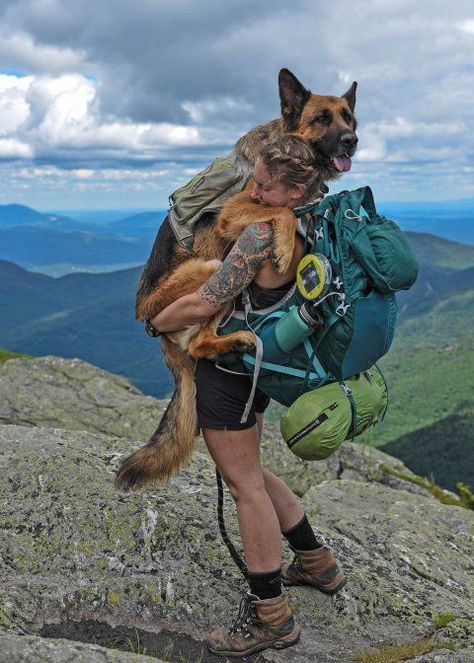 Hiking Photography, Dog Meet, Dog Camping, Hiking Dogs, Dog Adventure, Mountain Climbing, Dog Travel, Dogs Puppy, Call Whatsapp