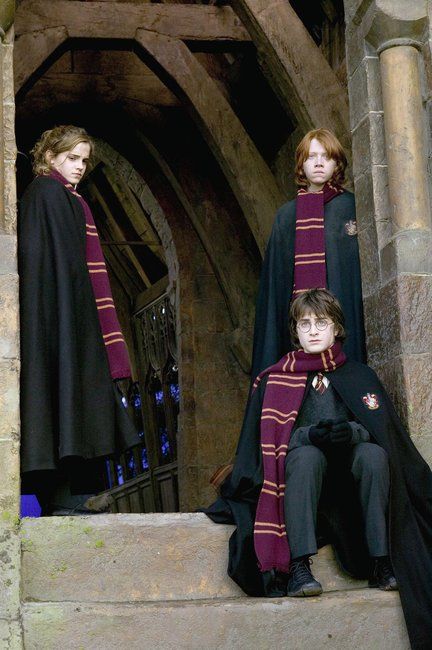 Harry Potter Scarf – My Tiny Obsessions Harry Potter Always, The Golden Trio, The Goblet Of Fire, Goblet Of Fire, After All This Time, Golden Trio, Hogwarts School, All This Time, Daniel Radcliffe