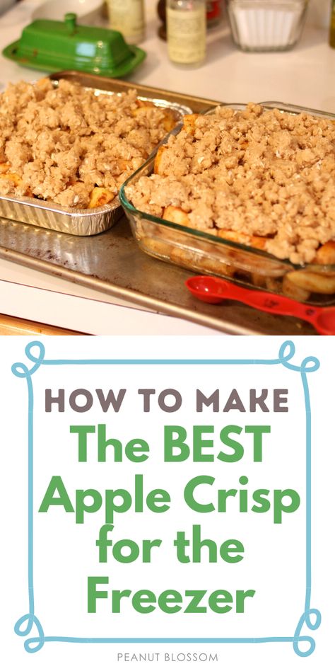 This easy apple crisp recipe is perfect for freezing. Split it in half and make two smaller pans so you have one for dessert tonight and one to save for Thanksgiving or giving to a friend. It's the perfect recipe for baking with kids. Apple Recipes To Freeze, Apple Recipes For Kids, Freezer Desserts, Apple Smoothie Recipes, Best Apple Crisp Recipe, Easy Apple Crisp, Best Apple Crisp, Easy Apple Crisp Recipe, Apple Crisp Recipe