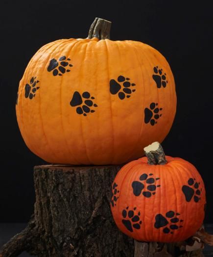 Free pattern for cute pumpkin pawprints! http://www.midwestliving.com/holidays/halloween/free-printable-woodland-pumpkin-stencils/?page=9 Veterinary Halloween Decorations, Veterinary Pumpkin Decorating, Dog Pumpkin Painting, Pumkin Carving Stencils, Deer Pumpkin, Autumn Decorating Ideas, Pumpkin Creations, Vet Technician, Paw Painting