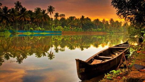 Kerala is a  place of God and first sight with its untouched beauty that will fall in love with this place. Kerala is famous for its landscape and beautiful scenery and Kerala comes as the seventh heaven place. Kerala has all the beautiful things on earth, the panoramic views, musicals scenery, fog and king of spices and many other things that you would see  here. #KeralaTour #KeralaTourPackages Kerala Scenery, Nature Photography Kerala, Beauty Of Kerala, Kerala Tourism Photography, Kerala Tourist Places, Kerala Sightseeing, India Vacation, South India Tour, India Holidays