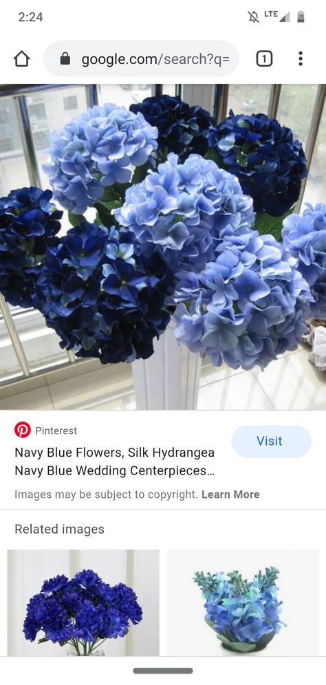 Navy blue hydrangea paired with burgundy roses and baby's breath 😍😍 Navy Blue Hydrangea Bouquet, Navy Hydrangea, Blue Hydrangea Bouquet, Hydrangea Bridal Bouquet, Hydrangea Bouquet, Blue Hydrangea, Hanukkah Wreath, Hydrangea, Bridal Bouquet