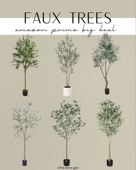 Faux Eucalyptus Tree, Cyprus Trees, Faux Trees, Tree Faux, Faux Eucalyptus, Faux Olive Tree, Fake Trees, Indoor Trees, Eucalyptus Tree