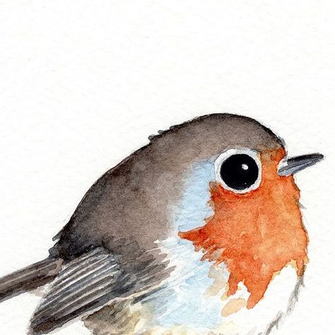 Watercolor Robin Bird, Robin Bird Painting, Christmas Robins Watercolour, Robin Bird Painting Acrylic, Robin Watercolour Painting, Robin Drawing, Motivate Me, Bird Artists, Round Robin