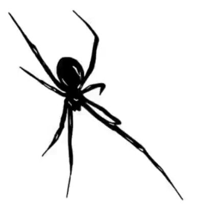 Spider Web Profile Picture, Spider Png Aesthetic, Spider Pfp Y2k, Spider Profile Picture, Spider Widget, White Pfp Y2k, Black And White Profile Picture, Spider Pfp, Spider Black And White