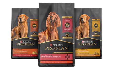 High Protein Dog Food, Probiotics For Dogs, Pro Plan, Salmon And Rice, Purina Pro Plan, Probiotic Foods, Beef And Rice, Wet Dog Food, Dog Supplements