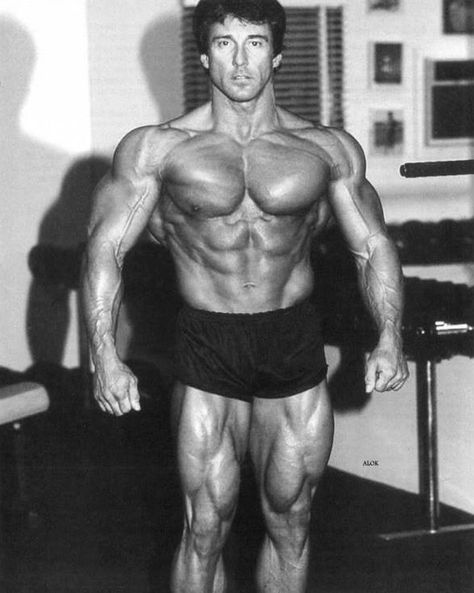 Big N, Frank Zane, Joe Weider, Steve Reeves, Perfect Physique, Mr Olympia, Bodybuilding Motivation, Bodybuilding Workouts, Powerlifting