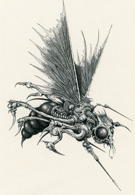 Fly Drawing, 70s Sci Fi Art, Creepy Drawings, Arte Punk, Dark Art Tattoo, Dark Art Drawings, Insect Art, Creepy Art, Ink Illustrations