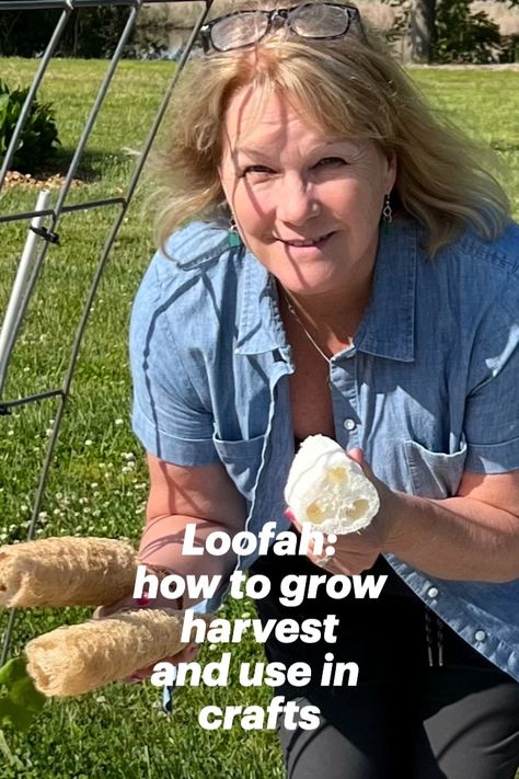 Learn how to grow, harvest, peel and use in crafts Luffa Sponge, Loofah Sponge, Natural Exfoliant, Sponge Cleaning, How To Grow, Fun Crafts, To Grow