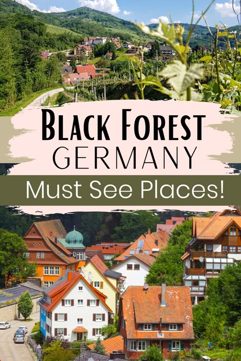 Black Forest In Germany, Black Forest Germany Magical Places, Black Forest Travel, Best Places In Germany, Germany Things To Do, Travel Germany Beautiful Places, Northern Germany Travel, Places To See In Germany, Most Beautiful Places In Germany