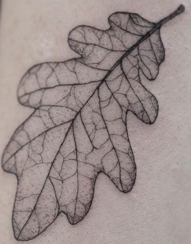 Oak Tree Leaf Tattoo, Oak Leaf Tattoo, Oak Leaf Tattoos, Acorn Tattoo, Fern Tattoo, Autumn Tattoo, Leaf Tattoo, Hummingbird Tattoo, Nature Tattoos