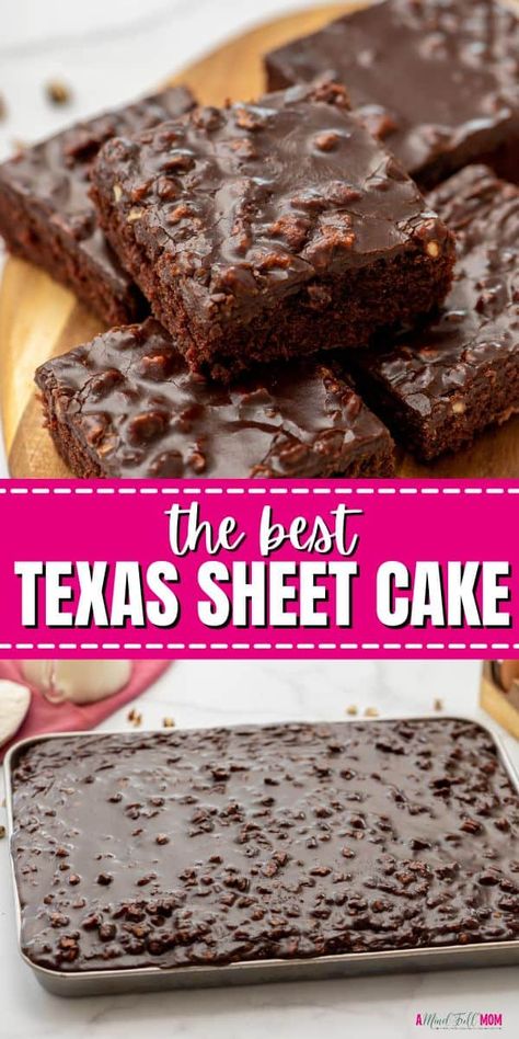 Featuring a moist chocolate sheet cake topped with a rich, fudgy frosting, this Texas Sheet Cake recipe is perfect for a crowd! Chocolate Sheet Cake Recipe, Texas Sheet Cake Recipe, Texas Sheet, Texas Sheet Cake, Chocolate Sheet Cake, Sheet Cake Recipes, Tasty Chocolate Cake, Cake Recipes From Scratch, Gateaux Cake