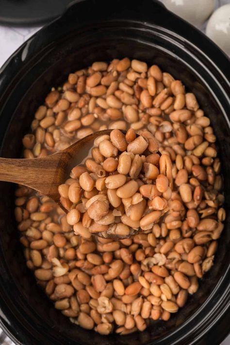 How to Cook Dry Beans in a Crock Pot - Eating on a Dime Crock Pot Brown Beans, Dry Beans In Crockpot Recipes, Dry Beans In Crockpot, Dried Beans In Crockpot, Crock Pot Beans, Dry Beans Recipes Slow Cooker, Cooking Dry Beans In Crockpot, How To Cook Dry Beans In Instant Pot, Easy Bean Recipes