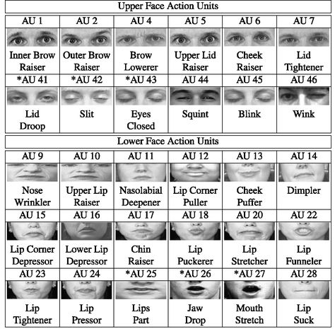 Example of FACS Facial Action Coding System, Micro Expressions, Reading Body Language, Facial Expressions Drawing, Facial Anatomy, Face Reading, Nonverbal Communication, How To Read People, Anatomy Study