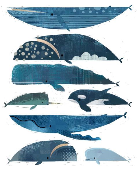 Gareth Lucas (@garethlucasart) • Instagram photos and videos Shark Illustration, Whale Drawing, Sea Artwork, Whale Illustration, Whale Pattern, Whale Art, In Other Words, Marine Mammals, Whale Shark