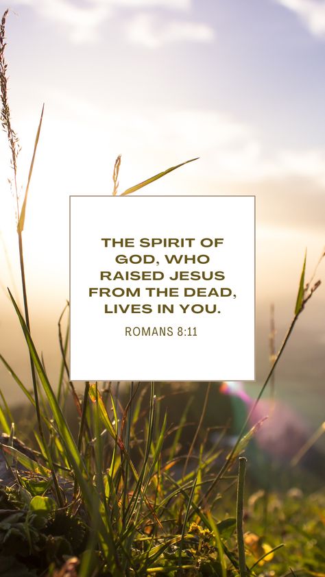 "The Spirit of God, who raised Jesus from the dead, lives in you." Romans 8:11 Christianity, Faith, Scripture, Christian Wallpaper Romans 8:11 Wallpaper, Romans 8 11 Wallpaper, Romans 8 11, Spirit Of God, Seek God, Favorite Verses, Christian Wallpapers, Faith Scripture, Quotes Prayer