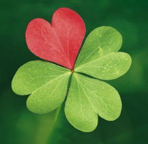 Friends are like four leaf clovers. Hard to find...but lucky to have. Heart In Nature, I Love Heart, 4 Leaves, Friends Are Like, Four Leaves, Happy Heart, E Card, Four Leaf, Heart Art