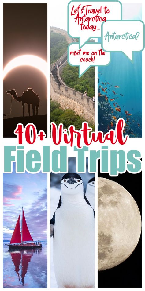 40+ Virtual Field Trips for Kids - Kids Activities Blog Hand Washing Song, Trips For Kids, Messy Play Ideas, Virtual Museum Tours, Play Ideas For Toddlers, Houston Zoo, Ideas For Learning, Field Trip Ideas, Calm Space