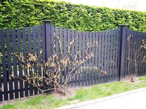 Black Scalloped Wood Picket Fence. This is exactly what I want Wood Picket Fence, Gate Decoration, Deer Fence, Black Fence, Living Fence, Concrete Fence, Types Of Fences, Fence Styles, Front Yard Fence