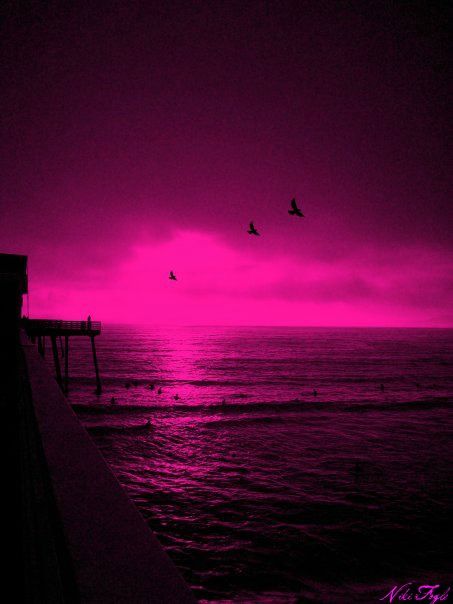 Magenta sunset Neon Rouge, Chaotic Mind, Black Sunset, New Retro Wave, Pink Photo, Pastel Pink Aesthetic, Picture Collage Wall, Pink Vibes, Photo Wall Collage