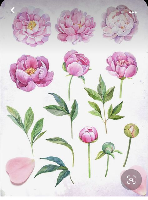 Invitation Website, Peonies Watercolor, Peony Drawing, Peony Illustration, Invitation Poster, Bright Watercolor, Peony Art, Flower Drawing Tutorials, Peony Painting