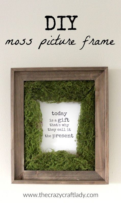 I have been on a major front entry/kitchen kick lately with wall  decor. For nearly a year, I have faced decor paralysis when it comes to a few of these walls. T Moss Picture Frame, Moss Projects, Moss Ideas, Moss Frame, Diy Moss, Entry Kitchen, Moss Decor, Faux Moss, Moss Wall Art