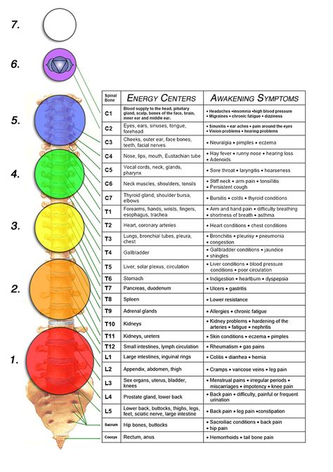 Chart depicting nervous system in relation to our Chakras, including physical symptoms that may be felt as spiritual awakening, our Chakras, and psychodynamic therapy, assist us during the healing process - sometimes known as "healing crisis" due to symptoms. Psychodynamic Therapy, Tcm Traditional Chinese Medicine, Spiritual Awakening Stages, Body Dr, Energy Psychology, Spiritual Ascension, Facial Nerve, Hearing Problems, Energy Healing Reiki