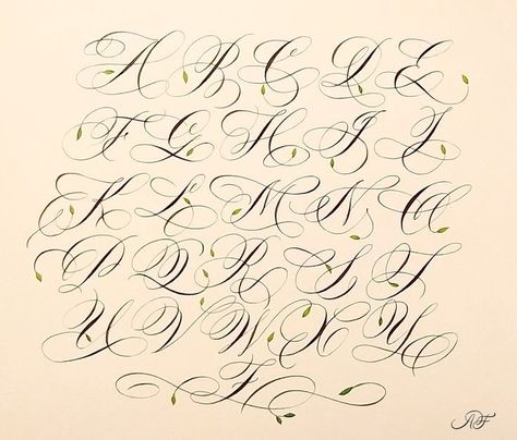 Elegant script writing flourishes into timeless beauty as sophisticated strokes of the brush bring forth the cultured majesty of Cursive A-Z, a masterpiece of refined artistry.#fontsalphabetgraffiti#fontsalphabetgraffitistreetart#fontsalphabetgraffitibubble#fontsalphabetgraffitidesign#fontsalphabetgraffitisketch#coolfontsalphabetgraffitistepbystep Cursive J Fonts, K In Cursive, Cursive Z, Cursive V, Cursive Y, Cursive M, Cursive A, Cursive Letters Font, Cursive J