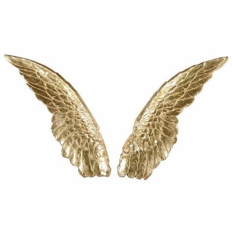 Eros And Psyche, Wings Png, Victoria Secret Wallpaper, Facebook Cover Images, Angel Feathers, Golden Wings, Angel Artwork, Greek Gods And Goddesses, Gold Aesthetic