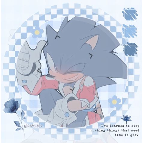 Aesthetic Sonic Icons, Cute Sonic Pfp, Sonic Aesthetic Icon, Sonic The Hedgehog Aesthetic, Sonic Pfp Aesthetic, Sonic Aesthetic Wallpaper, Sonic The Hedgehog Pfp, Sonic Pfps, Sonic Pfp