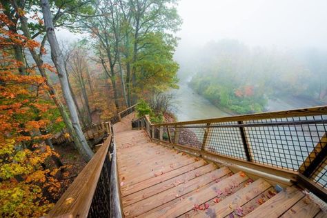 With 155 steps to reach the top, this ascent can be a bit of a workout... Ohio Destinations, Cleveland Metroparks, Cuyahoga Valley National Park, Ohio Travel, Rocky River, Only In Your State, Lovely Places, Nature Center, Walking Trails