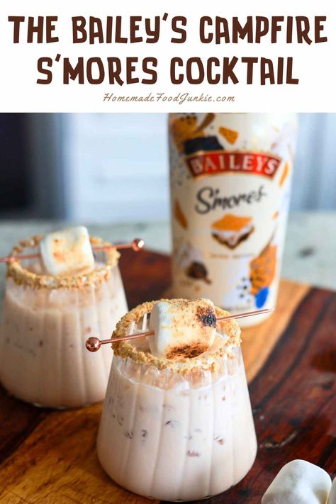 Baileys Campfire Smores Cocktail Recipes With Baileys S’mores, Smores Baileys Recipes, Baileys Smores Recipes Drinks, Baileys Cocktails Recipes, Smores Cocktail, Smores Martini, Cheese Dip Recipes Easy, Baileys Recipes Drinks, Easy Baked Brie Recipe