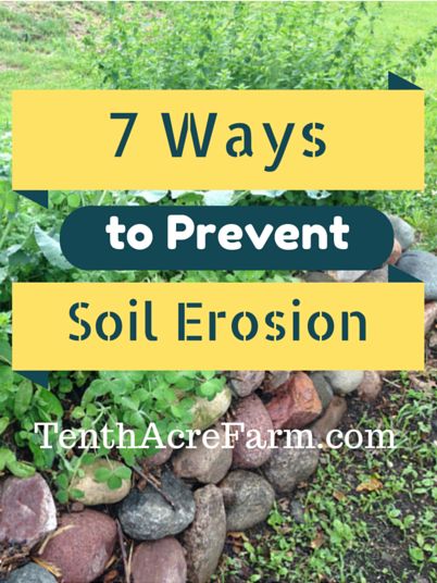 7 Ways to Prevent Soil Erosion from TenthAcreFarm Landscaping Stairs, Steep Hillside Landscaping, Landscaping A Slope, Soil Erosion, Compost Soil, Sloped Yard, Sloped Backyard, Drainage Solutions, Hillside Landscaping