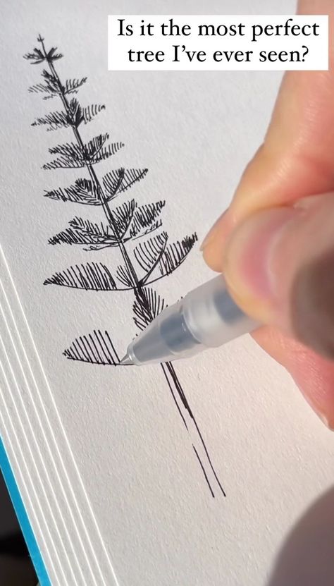 Norfolk Pine Tree Tattoo, Pine Tree Pen Drawing, Pine Tree Line Art, Island Sketch Drawing, Pine Tree Doodle, Pine Trees Drawing, Evergreen Drawing, Island Sketch, Pine Tree Sketch