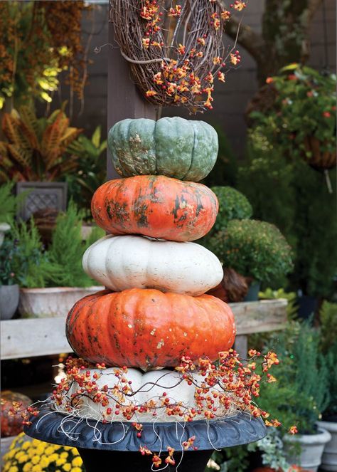 5 Ways to Style Your Pumpkins This Season - Cottage Journal Fancy Pumpkins, Garden In Pots, Altar Inspiration, Autumnal Decor, Autumn Cottage, Cottage Journal, October Country, Halloween Pics, Fall Container Gardens