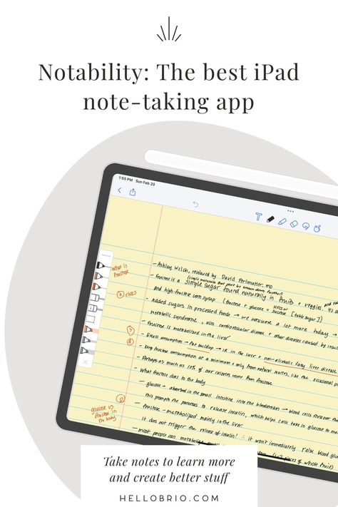 The Best Handwriting, Notability Notes, Ipad Notability, Best Handwriting, Counselling Tools, Ipad Notes, Notes Inspo, Apple Notes, Travel Journal Pages