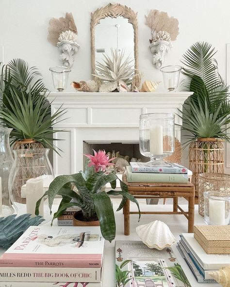 Coastal Southern Bedroom, Beach Aesthetic Florida, Living Room Ideas Coastal, Room Ideas Coastal, Coastal Living Room Decor, Bromeliad Plant, Coastal Living Room Ideas, Sea Urchin Shells, Coastal Living Room Furniture