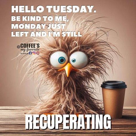 Funny Tuesday Work Memes Hilarious, Monday Again Humor, Happy Tuesday Morning Funny, Funny Tuesday Quotes Hilarious, Tuesday Morning Quotes Funny, Funny Morning Quotes Humor Hilarious, Monday Morning Quotes Humor, Happy Tuesday Funny, Tuesday Humor Funny Hilarious