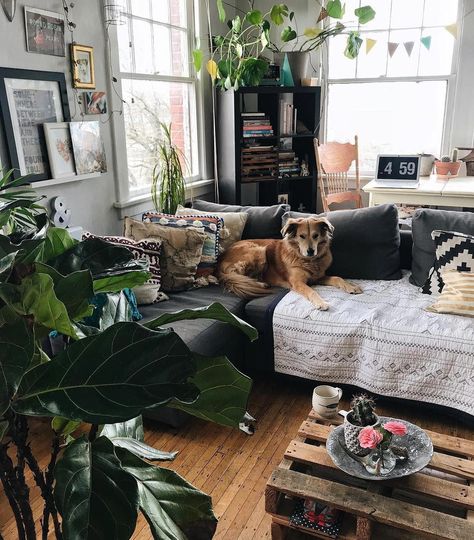 dog room decor ideas #dogroomdecorideas Dog Apartment Living, Dog Areas In House, Dog Room Decor, Apartment Pet, Interior Design Living Room Modern, Dog Spaces, Dog Area, Dog Rooms, Tiny House Living